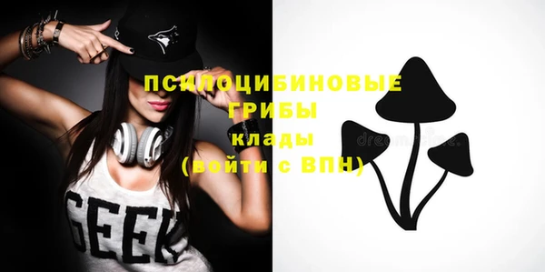ешки Алзамай