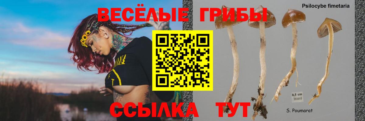 закладки  Псилоцибиновые грибы GOLDEN TEACHER  Вход с VPN  Клинцы 